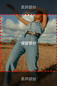 crop-mode-demo-1.png